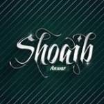 M Shoaib Anwar
