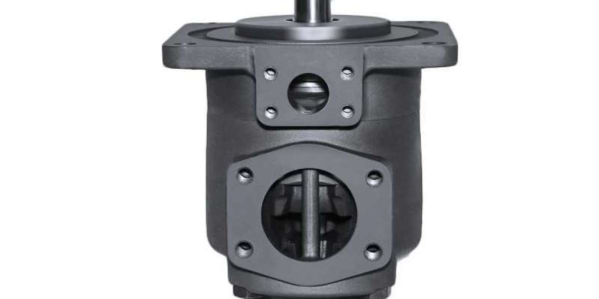 Solutions to the failure of the vane pump