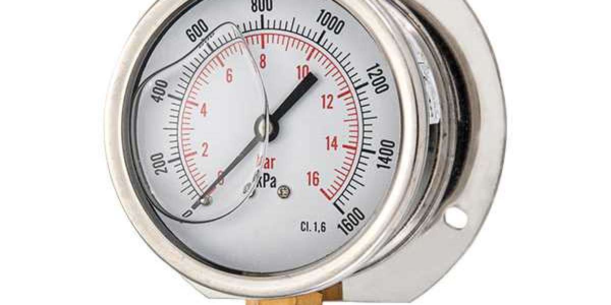 Silicone Filled Pressure Gauge Can Suppress Temperature Spikes And Vibrations Picture