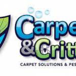 Carpets Carpets