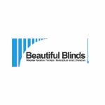 Beautiful Blinds