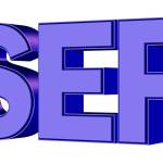 Seo Expert