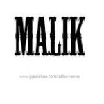 Hamza Malik MALIK