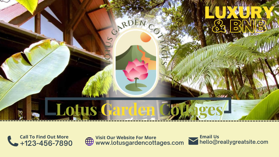 Lotus Garden is the Romantic Luxury Bed & Breakfast : If you’re looking to get away from the hustle and bustle of everyday life, then look no further than Lotus Garden Cottages. This romantic luxury bed & breakfast is surrounded by lush greenery and peaceful tranquility.