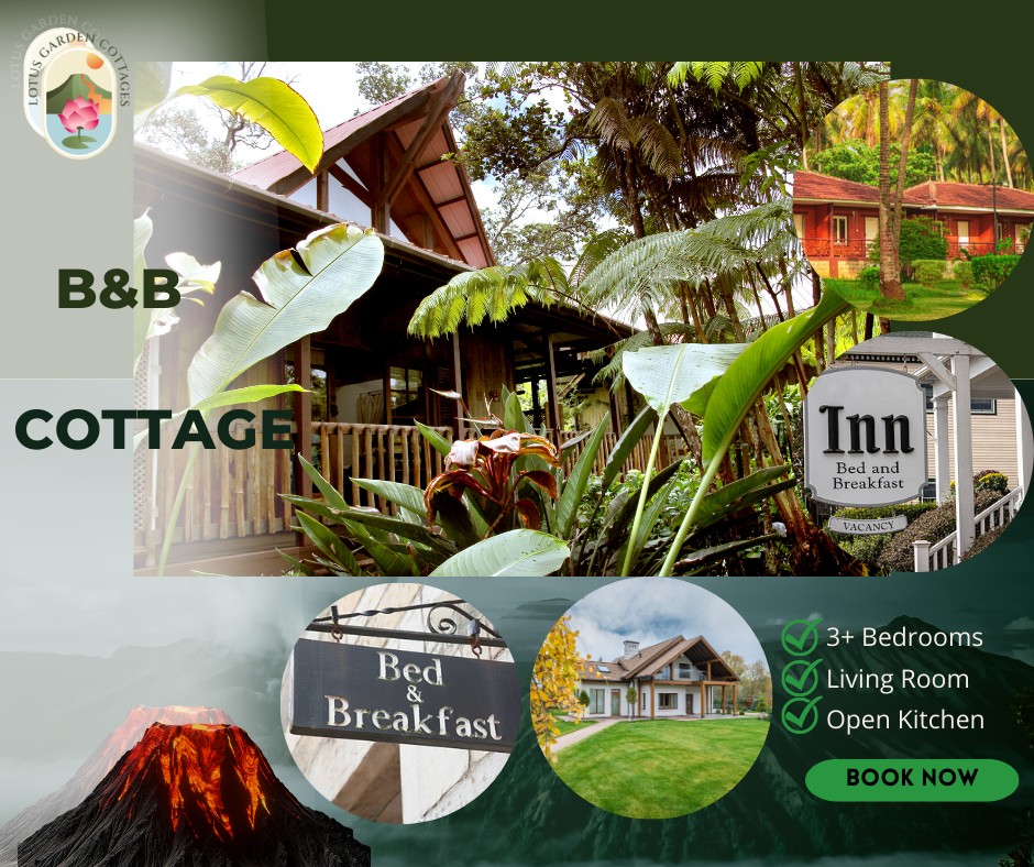 Get Luxury and Affordable B&B Volcano Hawaii | by Lotusgarden Cottages | Feb, 2023 | Medium