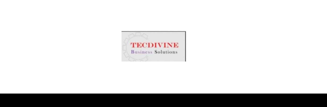 TecDivine Business solutions LLC