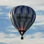 harcourts hamilton
