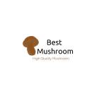 Best Mushroom Shop