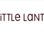 Little lanternonline