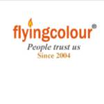 Flyingcolour Business setup