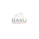 BAKU SOLUTIONS