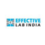 Effective Lab India