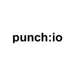 Punch IO