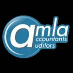 Amla Auditors