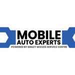 Mobile Auto Experts