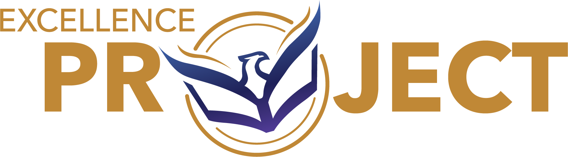 WHAT WE DO. | Excellence Project