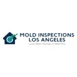 Mold Inspections Los Angeles