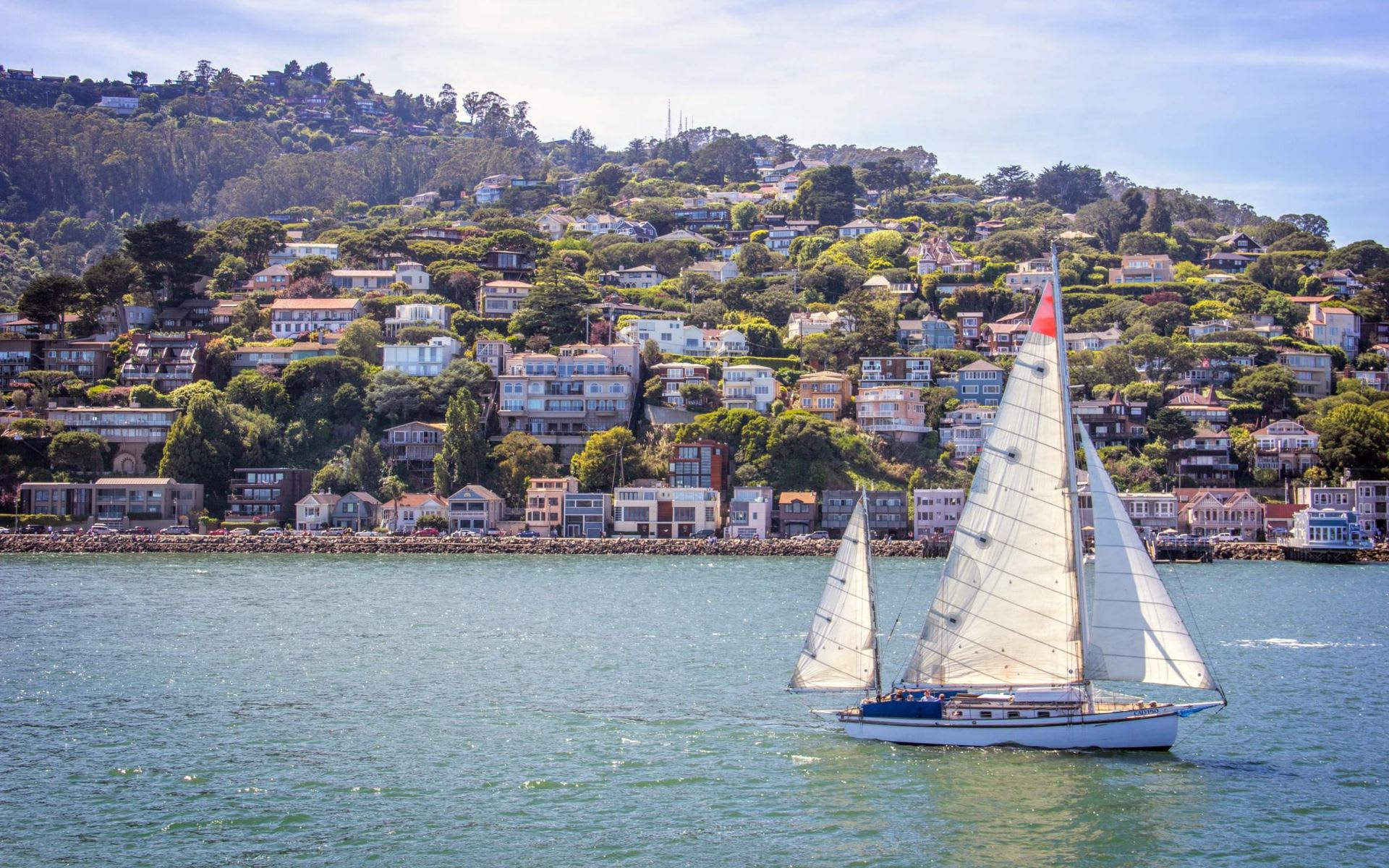 San Rafael Real Estate | Homes for Sale in San Rafael with Oliver