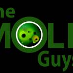 Mold Guys