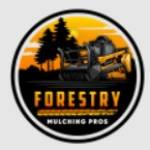 Forestry Mulching Pros