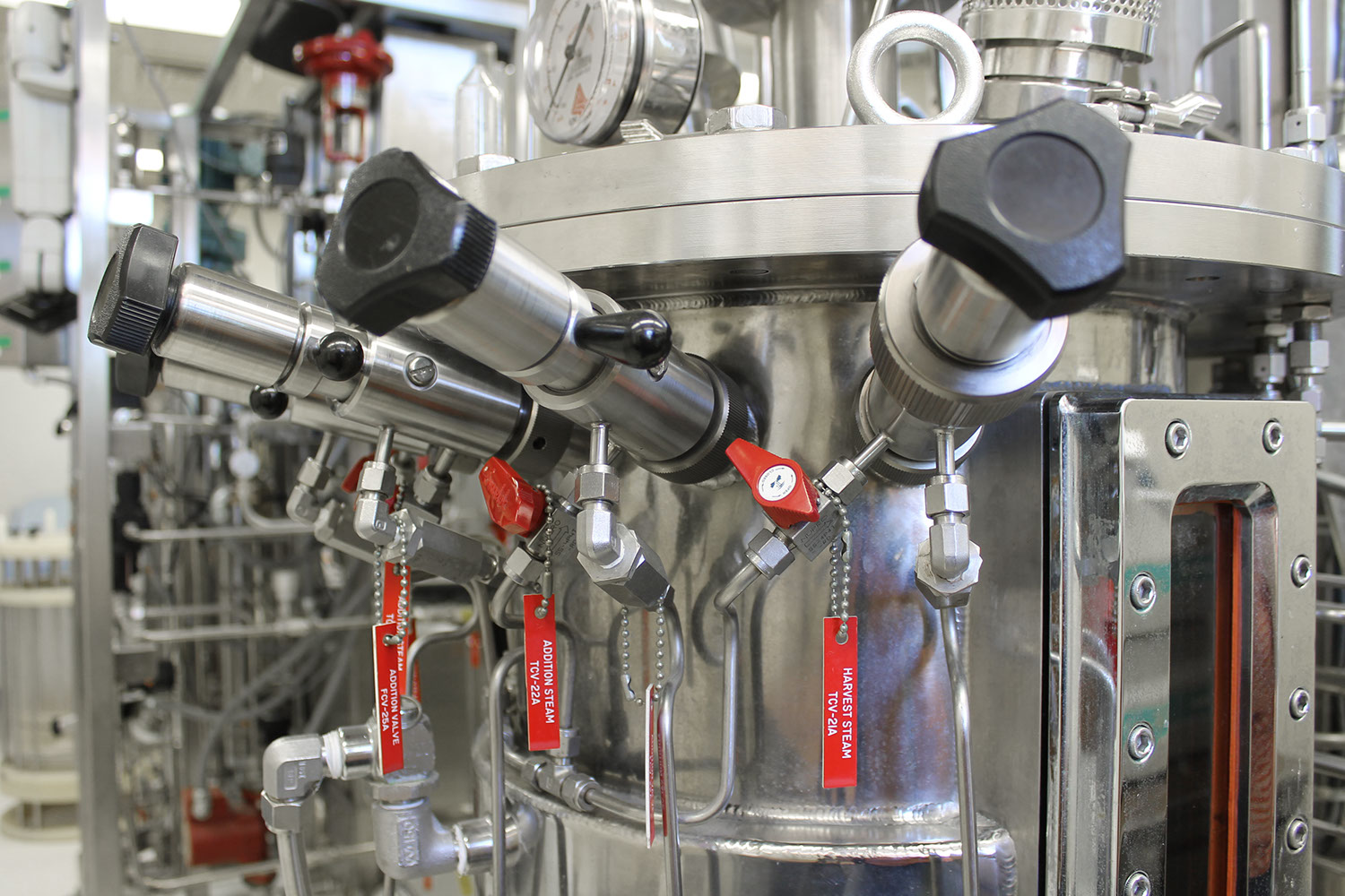 Protein A Chromatography Resin | Protein Purification Resin