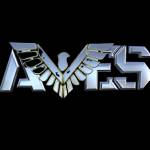 Avessecurity Managementsystem