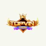 Topvin Bid
