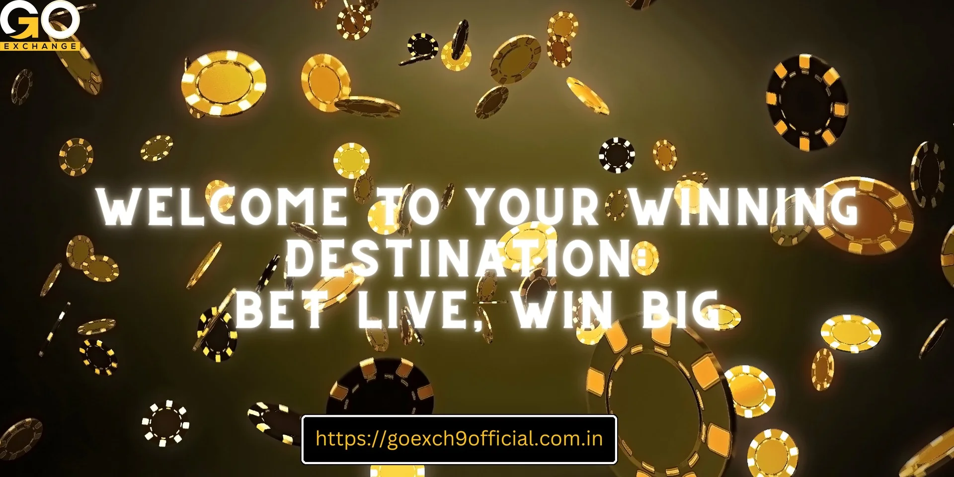 Goexch9 | Go Exchange | goexch9.com Destination for gaming