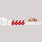 S6666 Com co