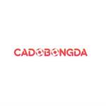 Cá Độ Bóng Đá Online