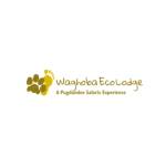 Waghoba Eco Lodge