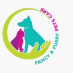 Fancy Furry
