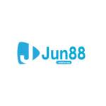 Jun88 Usorg
