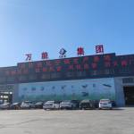 SHANDONG GROUP