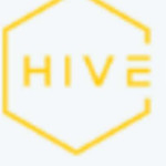 Thehive Hostel