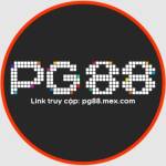 Pg 88