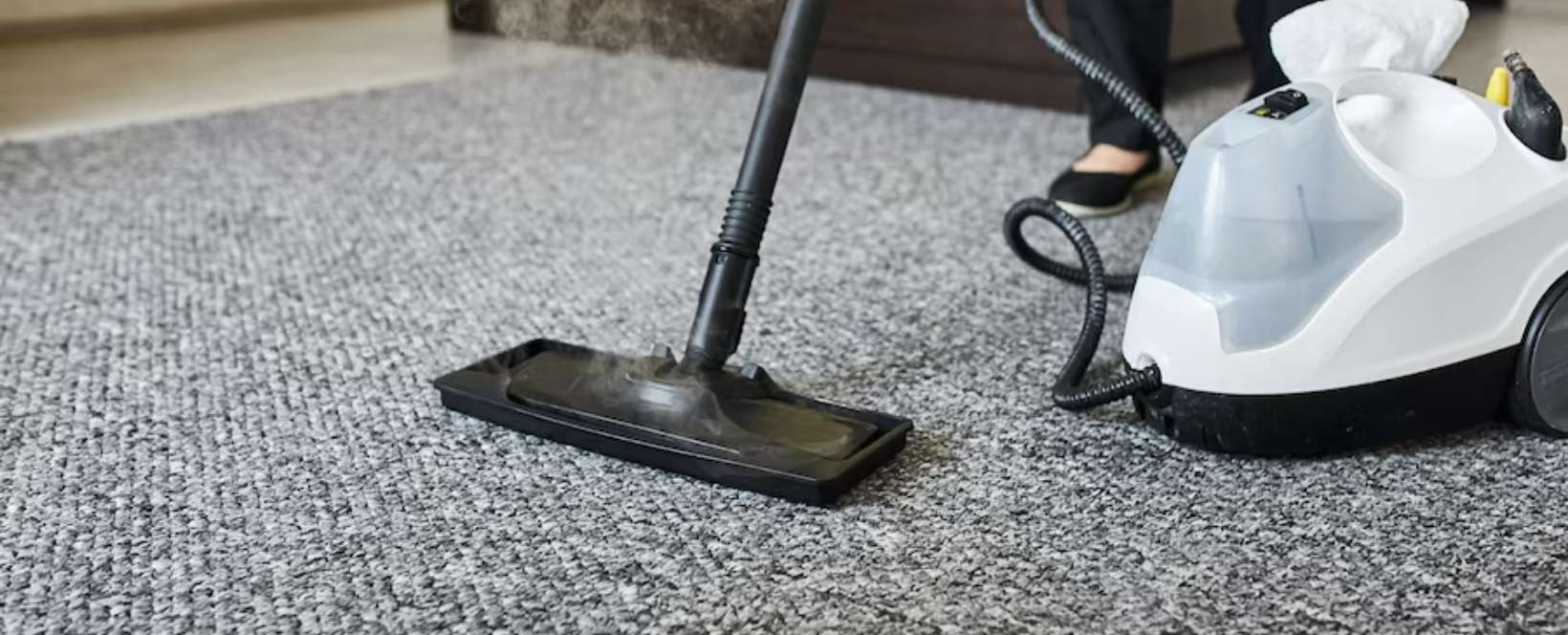 Carpet Steam Cleaning Services in Adelaide | Carpet Cleaners