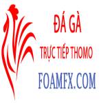 Đá Gà Trực Tiếp Thomo