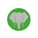 Elephant Trunk