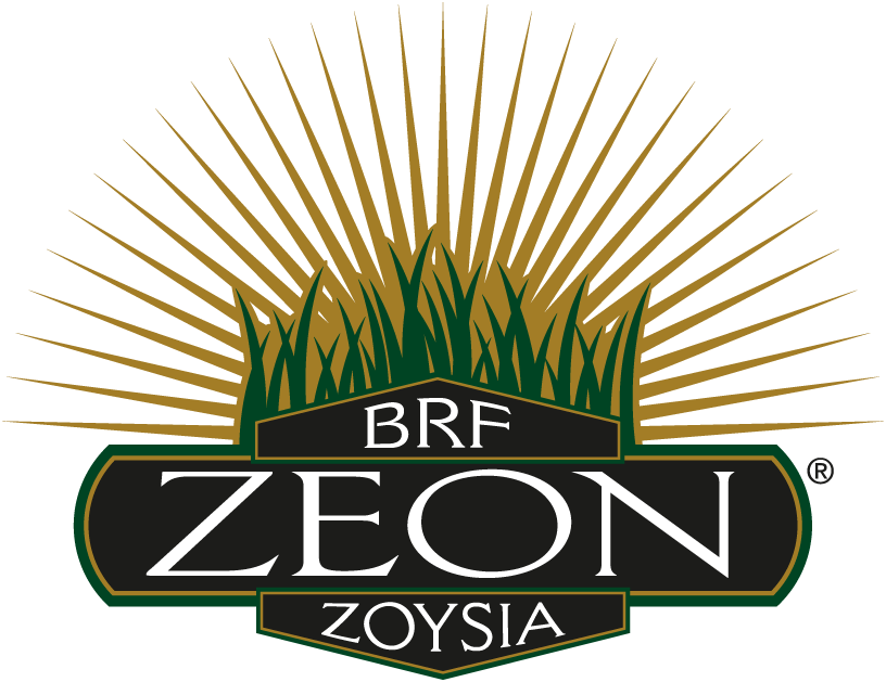 Zeon® Zoysiagrass Florida | Star Turf Farms