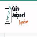 Online assignment Expert