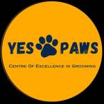 Yes Paws