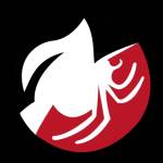 Possum Removal Melbourne