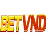 Bmw Bet