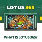lotus game online