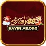 Hay88 Nhà cái