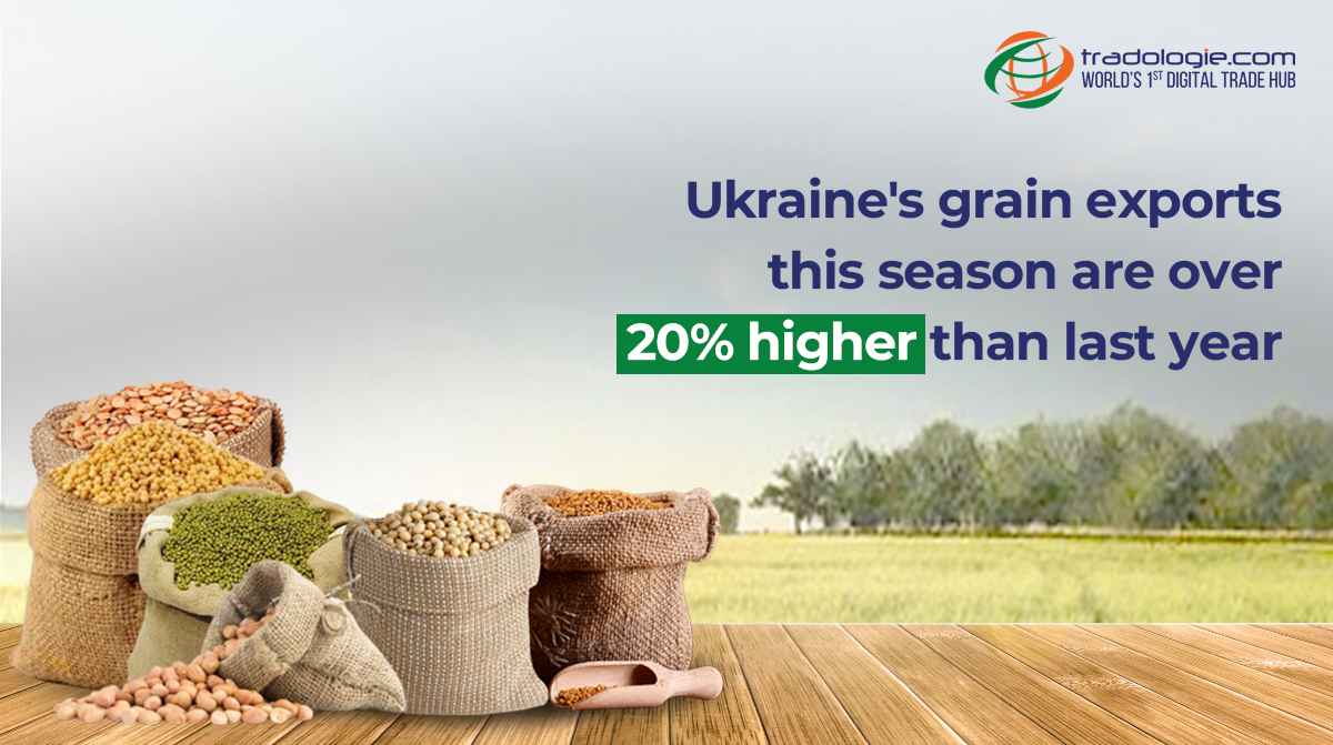 Ukraine's Grain Exports This Season Exceed Last Year by More Than 20%
