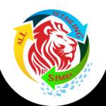All Detailing Simba
