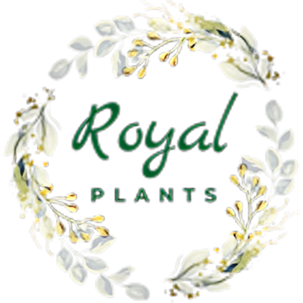 Home - Royal Plants & Flowers