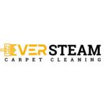 EVER STEAM CARPET